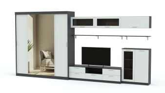 Шкаф купе TV-18 BMS