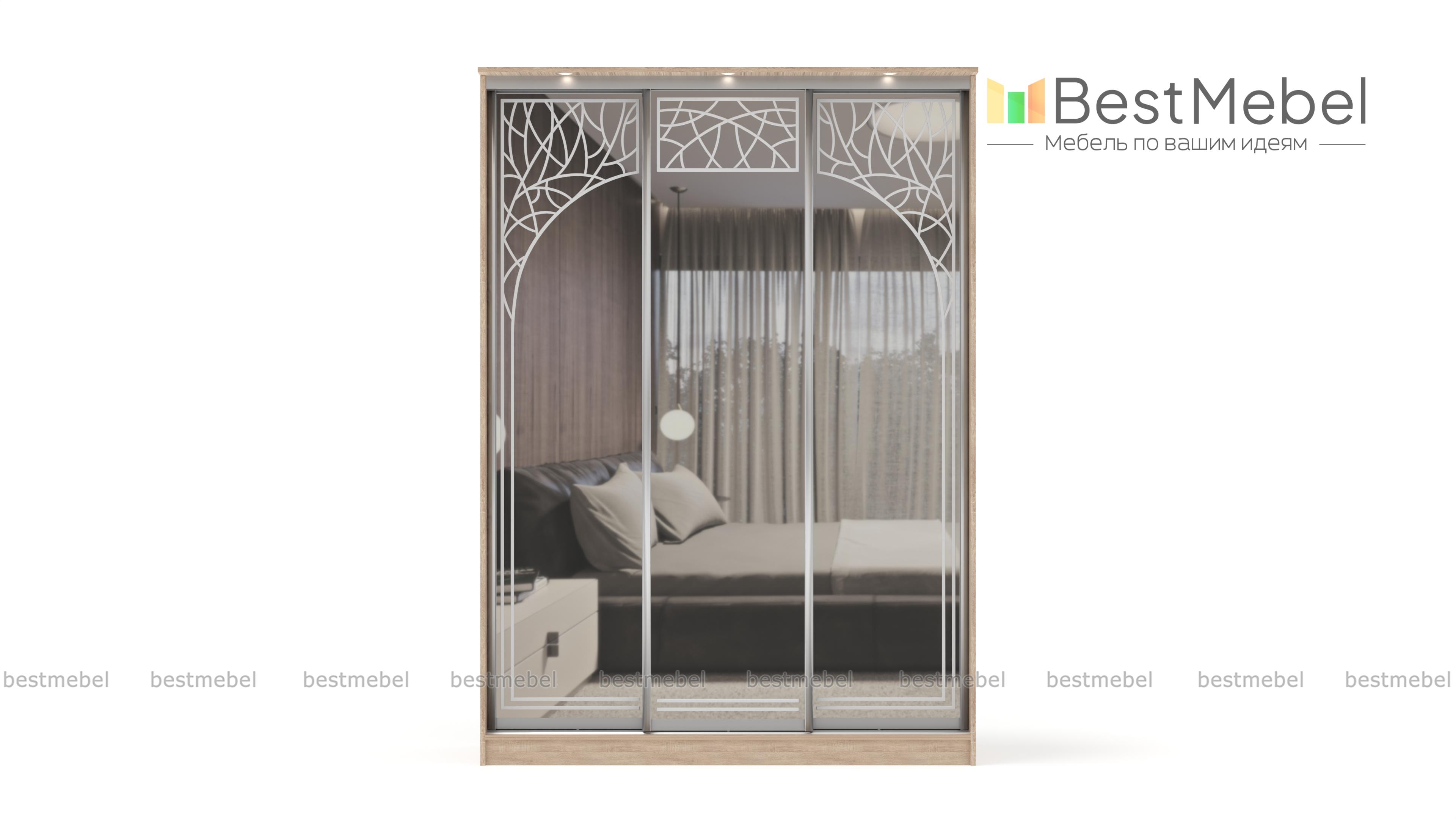 Шкаф-купе Концепт-24 BMS - Фото