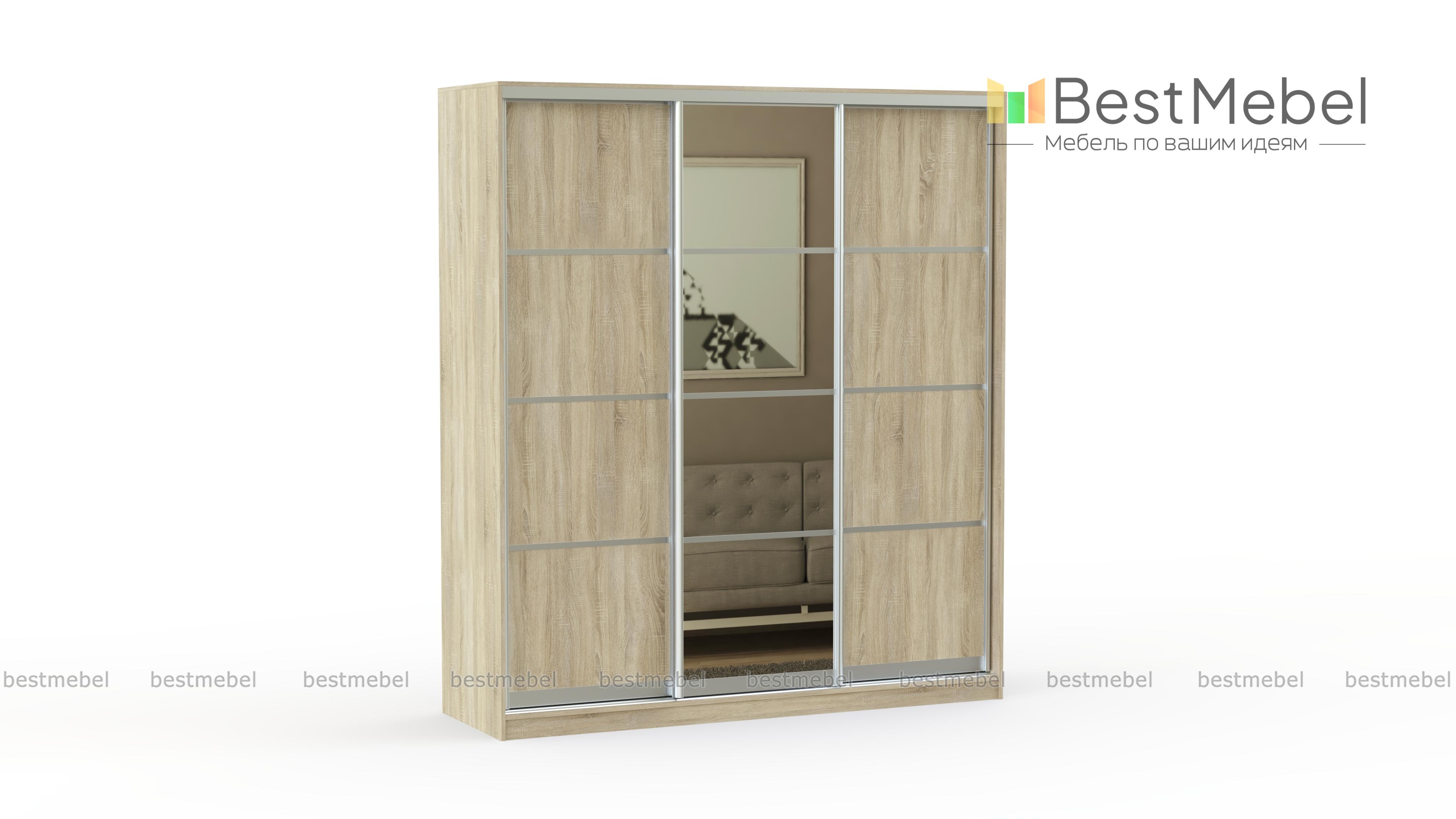 Шкаф-купе НЛ-860 BMS - Фото