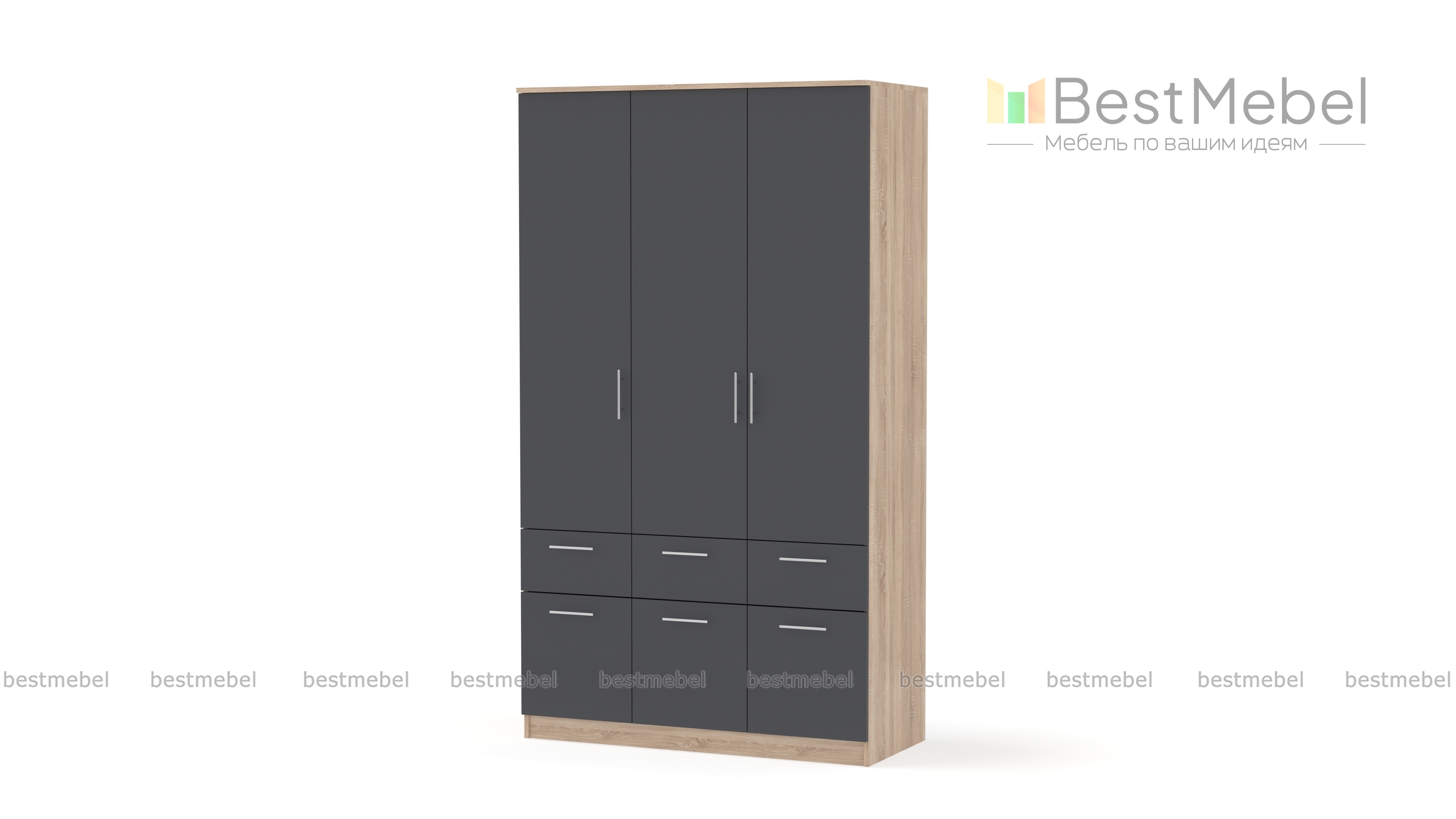 Шкаф распашной Класс 3.4 BMS