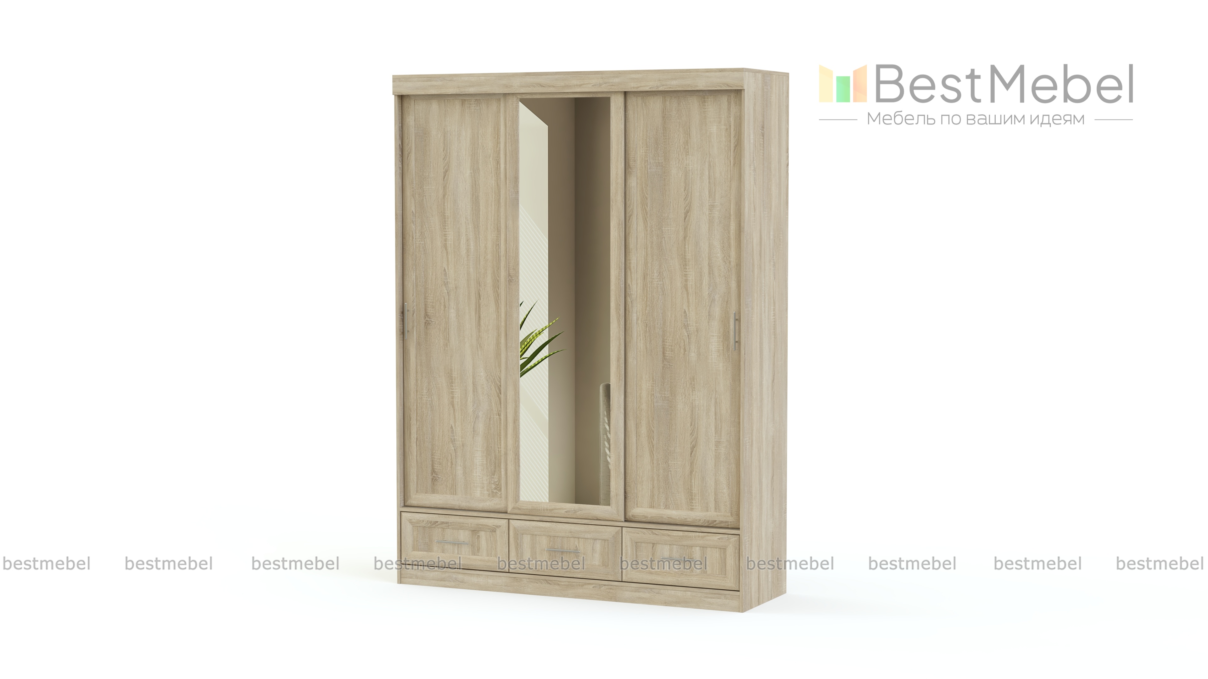 Шкаф-купе Милан-12 BMS