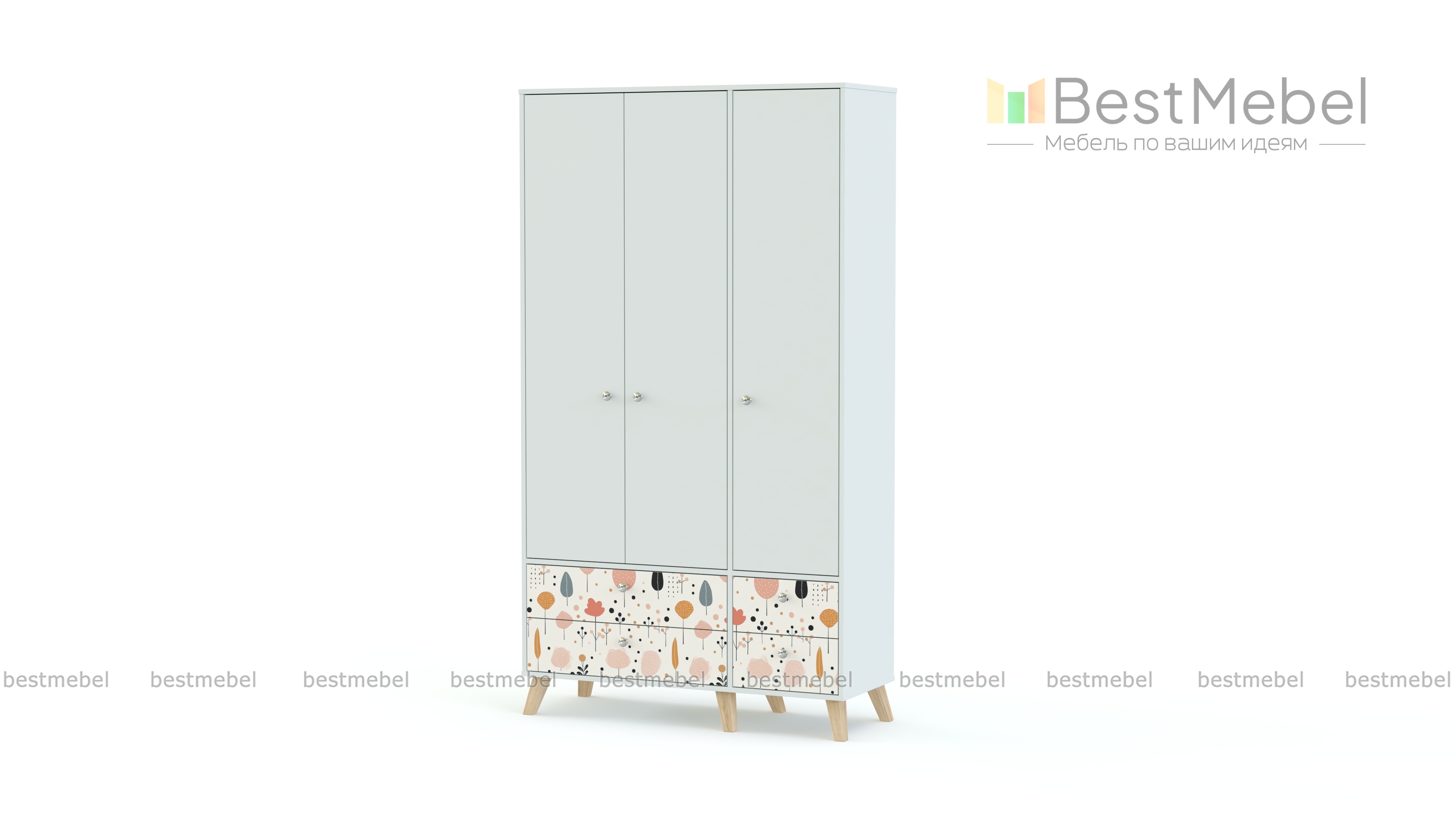 Шкаф распашной Эльза 5 BMS